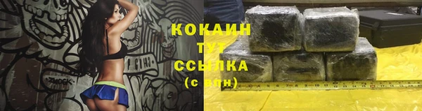 PSILOCYBIN Армянск
