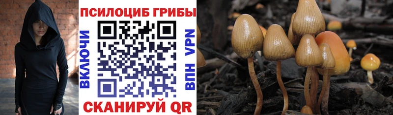 Псилоцибиновые грибы GOLDEN TEACHER  блэк спрут как зайти  Ревда 